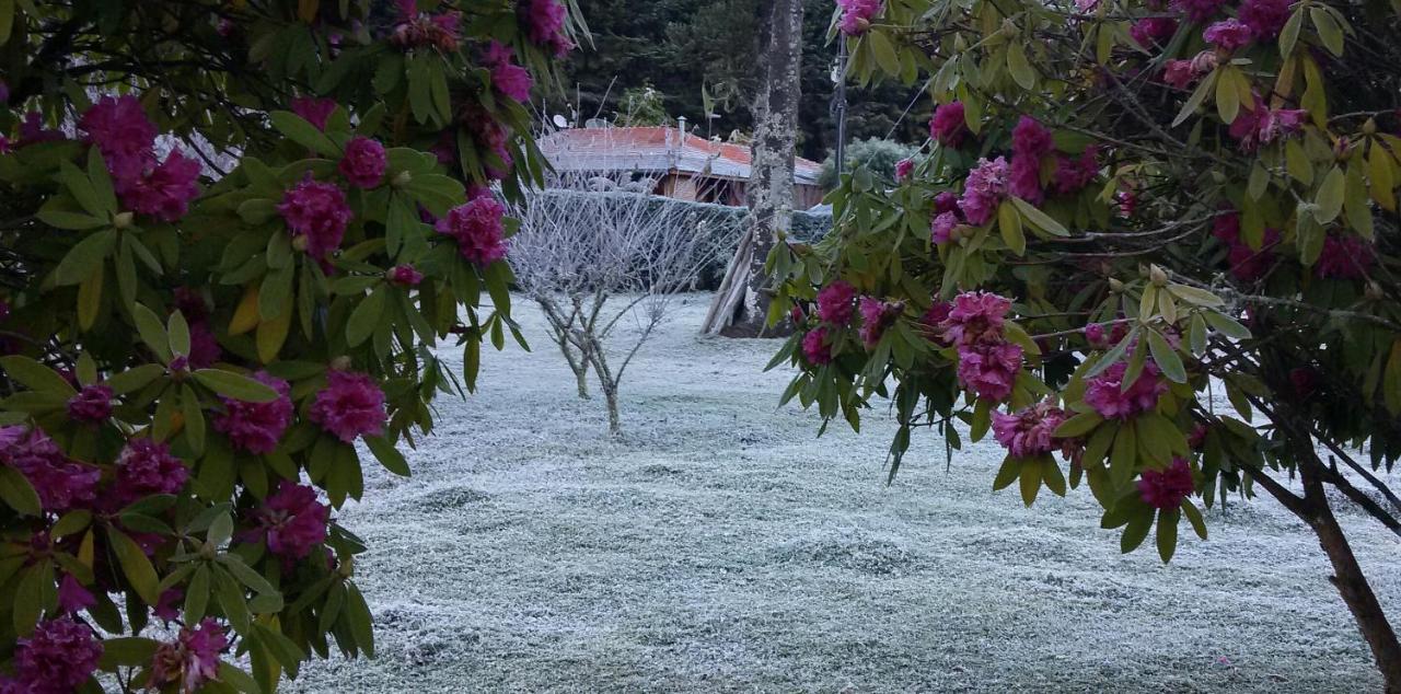 Gonçalves Recanto Da Natureza, Chale מראה חיצוני תמונה