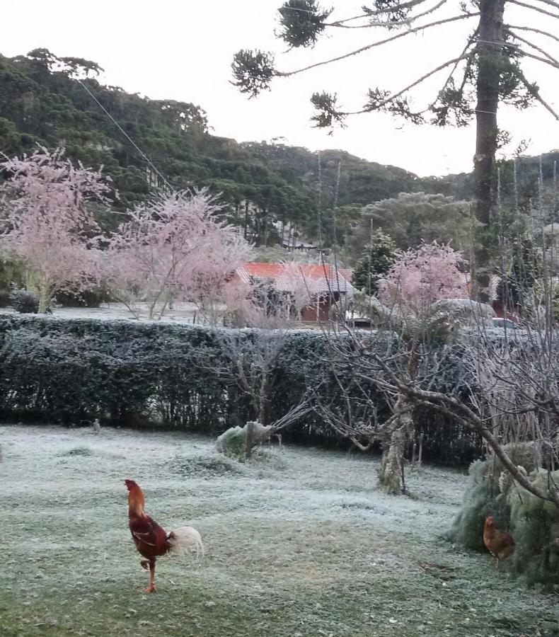 Gonçalves Recanto Da Natureza, Chale מראה חיצוני תמונה